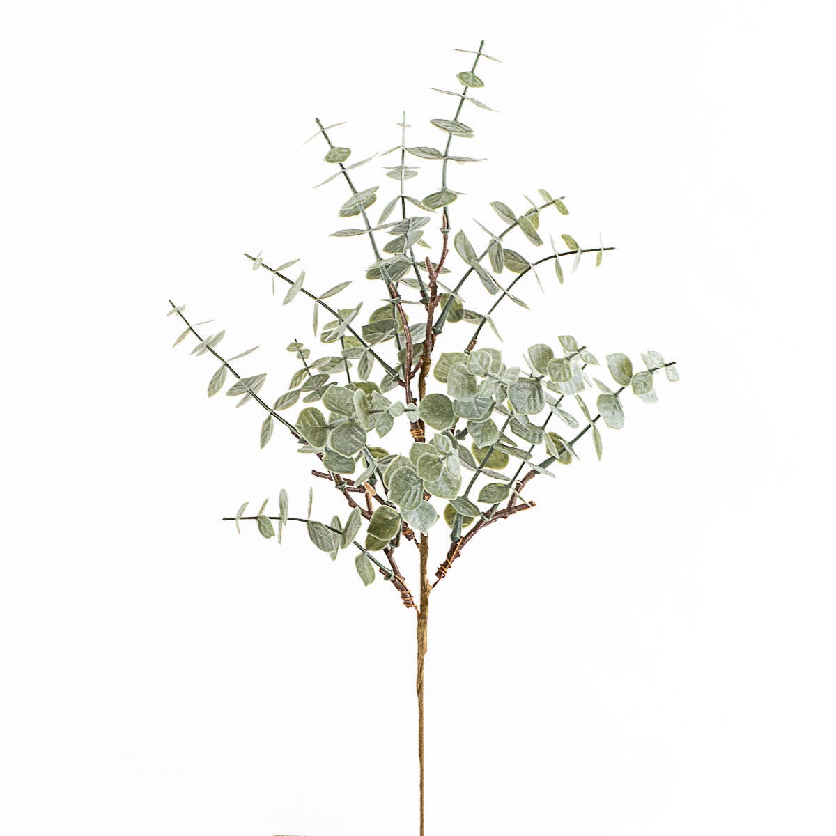 Eucalyptus Stem   Light Green   18"